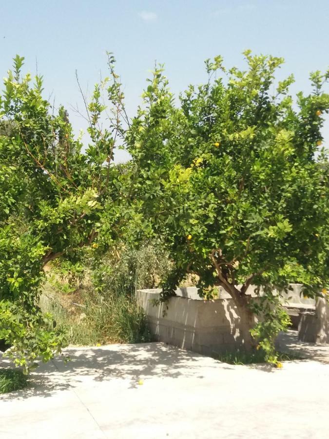 Vrondos Apartments Faneromeni  Bagian luar foto